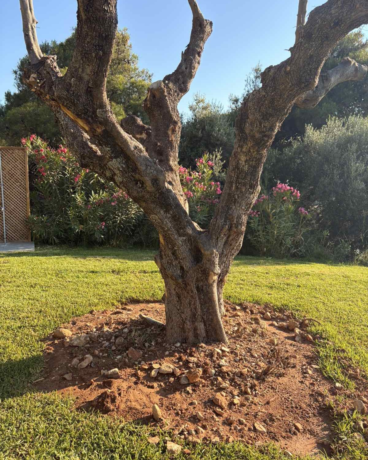 Ολοκληρωμένες Υπηρεσίες